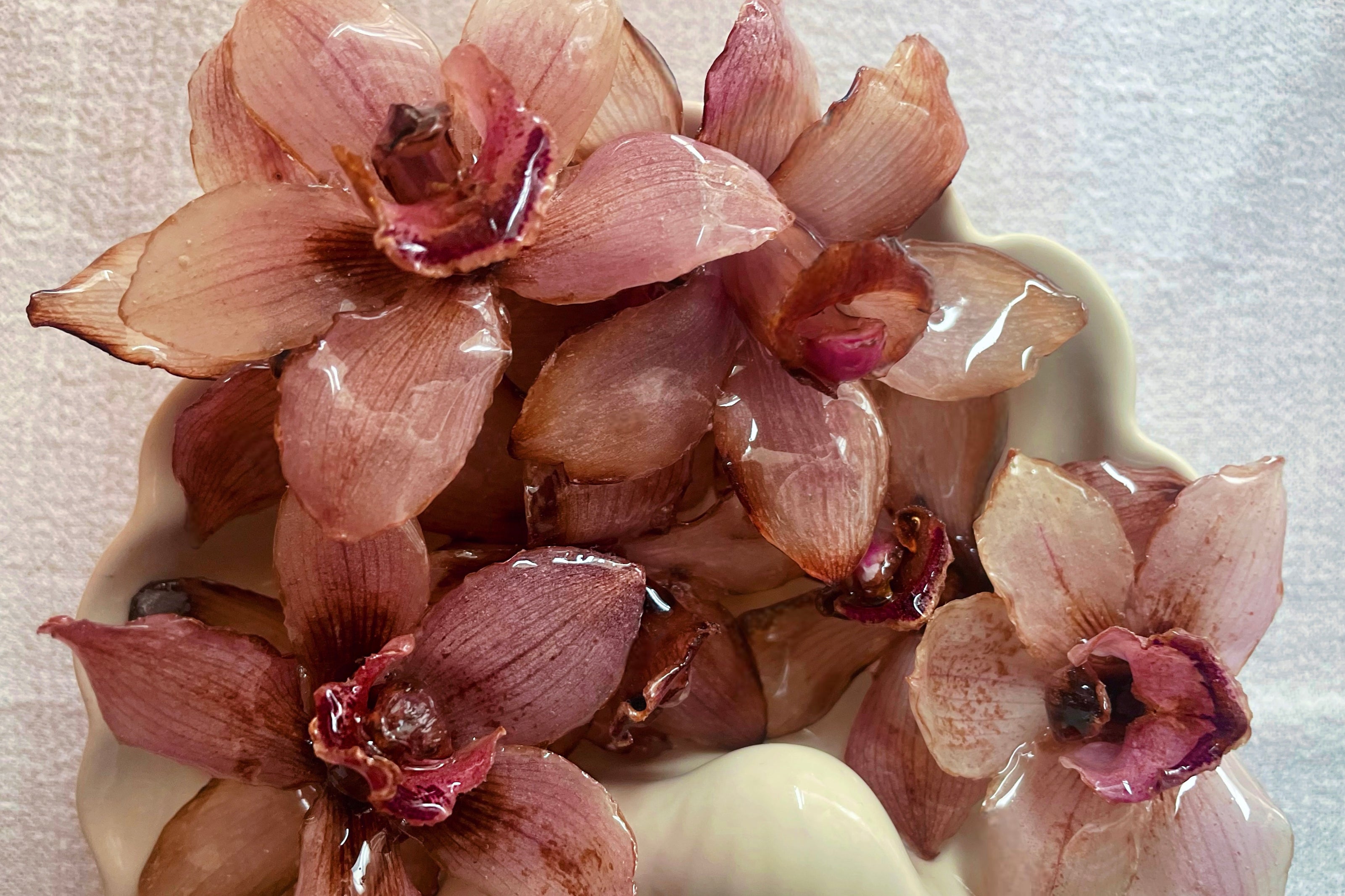Pink flowers in a white dish on a textured white background